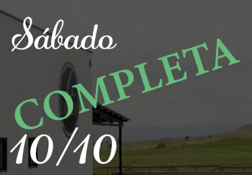 Visita 10/10/26
